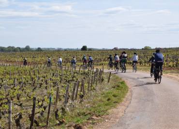 Velovitamine - Balade Oenologique à vélo "Côte de Nuits 1er Cru" Dijon à Gevrey-Chambertin