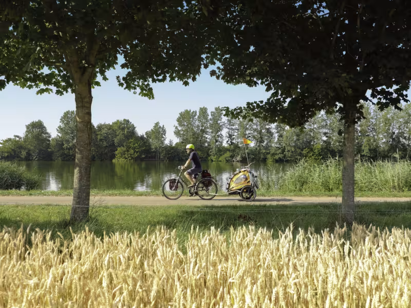 Remorque vélo sur la voie verte de la Voie Bleue