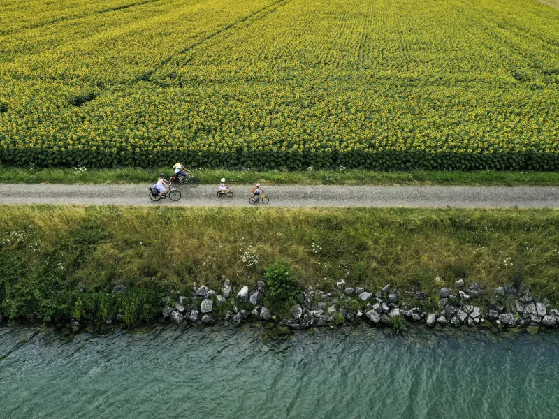 La Voie Bleue entre les champs de Tournesol et la Saône