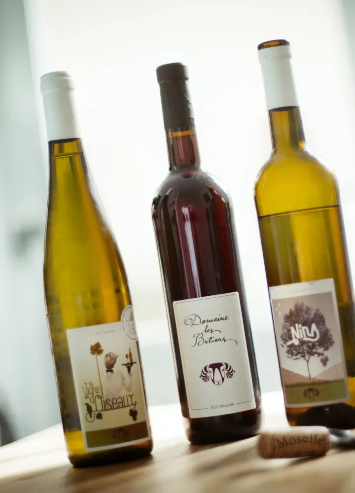 Ancy-sur-Moselle - Domaine Les Belliers 