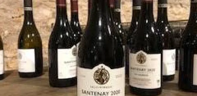 Domaine Clos Saint Jean