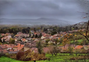Ancy-Dornot, un village de vignerons