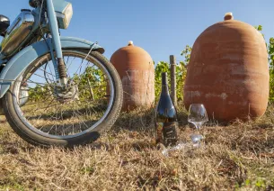 Le vignoble du Mâconnais
